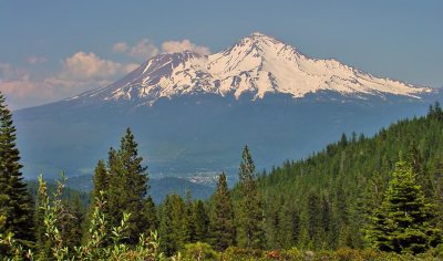  Mt Shasta