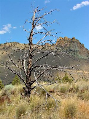 Smith Rock SP 6