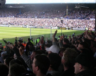 Swans Fans Waving