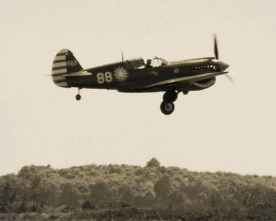 P40.JPG