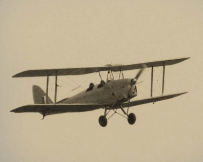 Tiger Moth.jpg