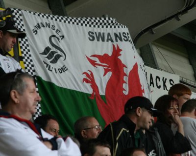 Swans Flags