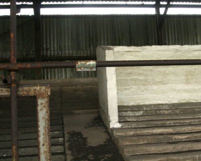 160.jpg