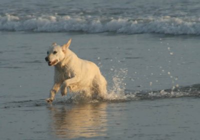 Loving the Foam