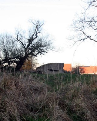 Bunker at Hill 60