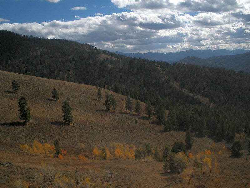 view from the top of the hill