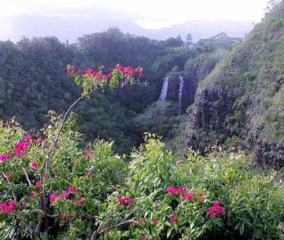 2008 Kauai Vacation