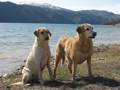 Emma and Amber- A day in the water.jpg