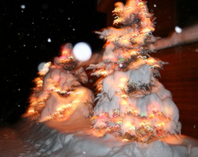 The outdoor lights during the snow.jpg
