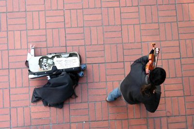 violin from above