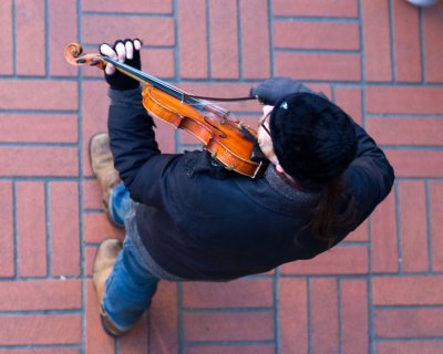 Afternoon performance