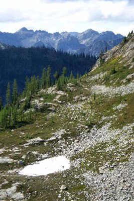 Snow Patch