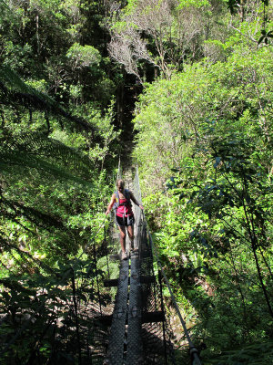 Swinging Bridge