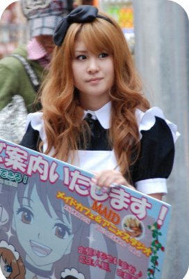 Akihabara le royaume des mangas (17-06-2009)