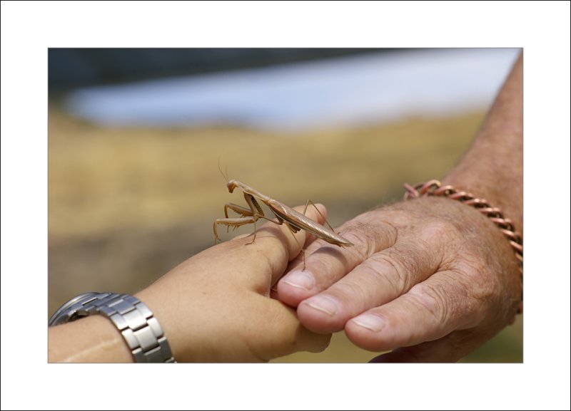 From one hand to another
