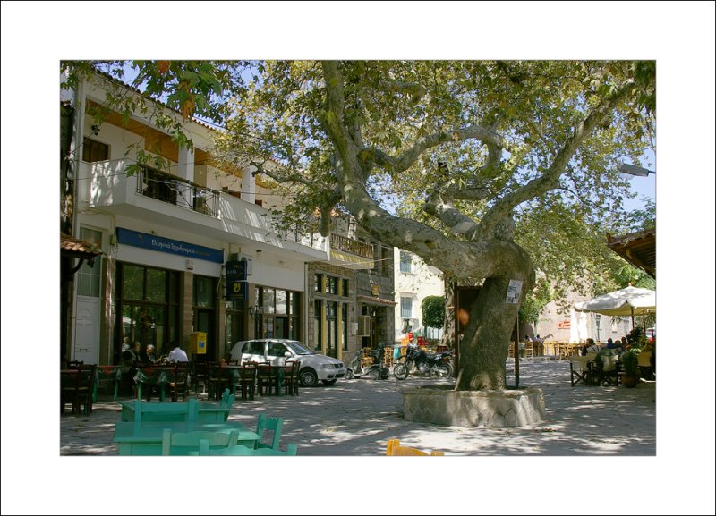 Andisa traditional square
