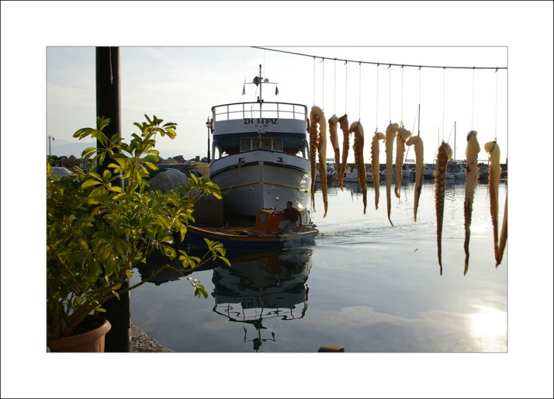 Dinner in Molyvos harbour