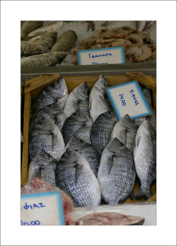 Fish for sale