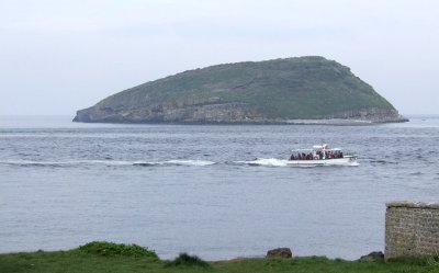 Puffin Island, Anglesey
