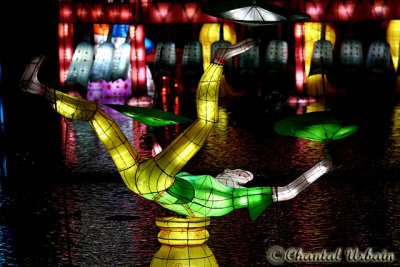 20081008_5904 Lanternes chinoises.jpg