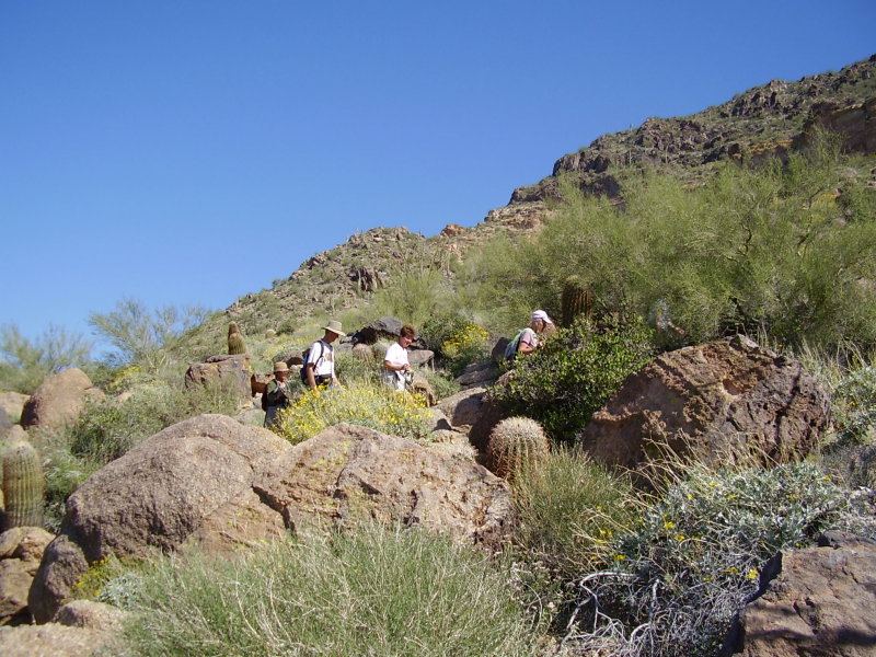 Arizona_09 03 13_0086.JPG