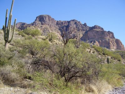 Hike_11 29 10_0011.JPG