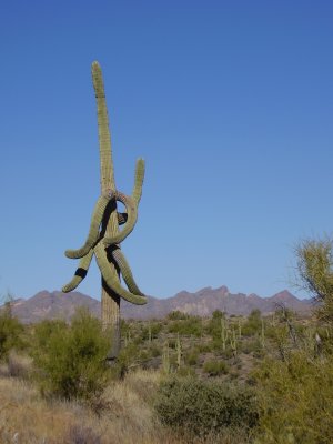 Hike_12 13 10_0007.JPG