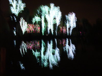 Zoo Lights_12 10 10_0002.JPG