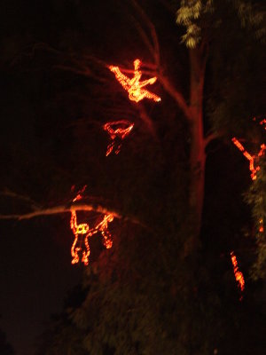 Zoo Lights_12 10 10_0008.JPG