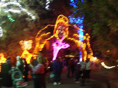 Zoo Lights_12 10 10_0012.JPG