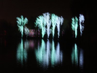 Zoo Lights_12 10 10_0014.JPG