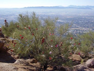 Hike_01 07 11_0018.JPG
