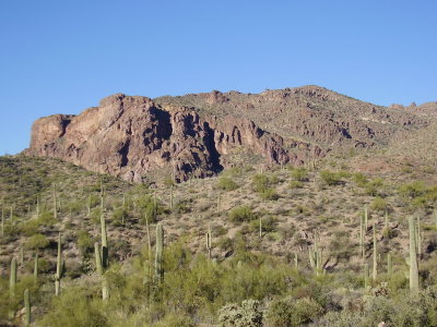 Hike_01 14 11_0002.JPG