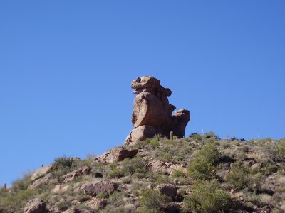 Hike_01 14 11_0007.JPG