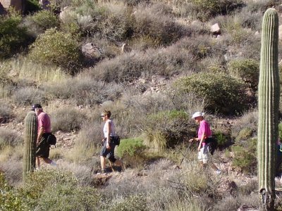 Hike_01 14 11_0008.JPG