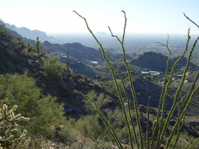Hike_02 04 11_0004.JPG