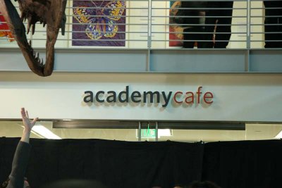 IMG_1955.jpg