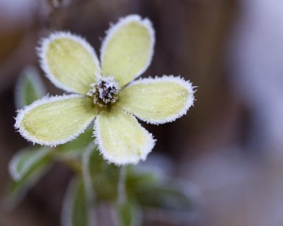 _MG_5249w.jpg
