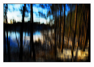 Dreamscapes