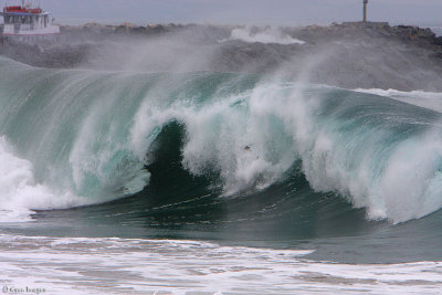 wedge11.jpg