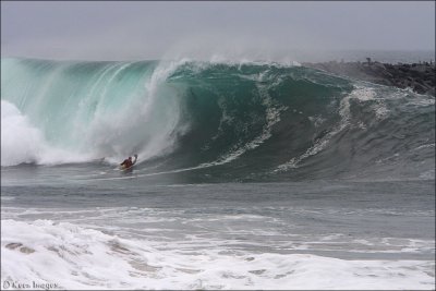 wedge14.jpg