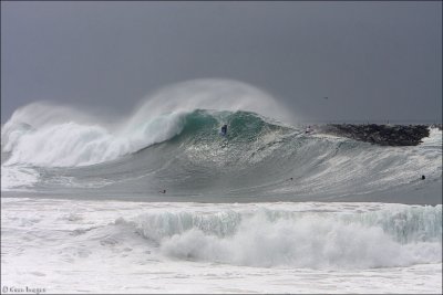 wedge26.jpg