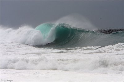 wedge29.jpg