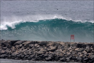 wedge38.jpg