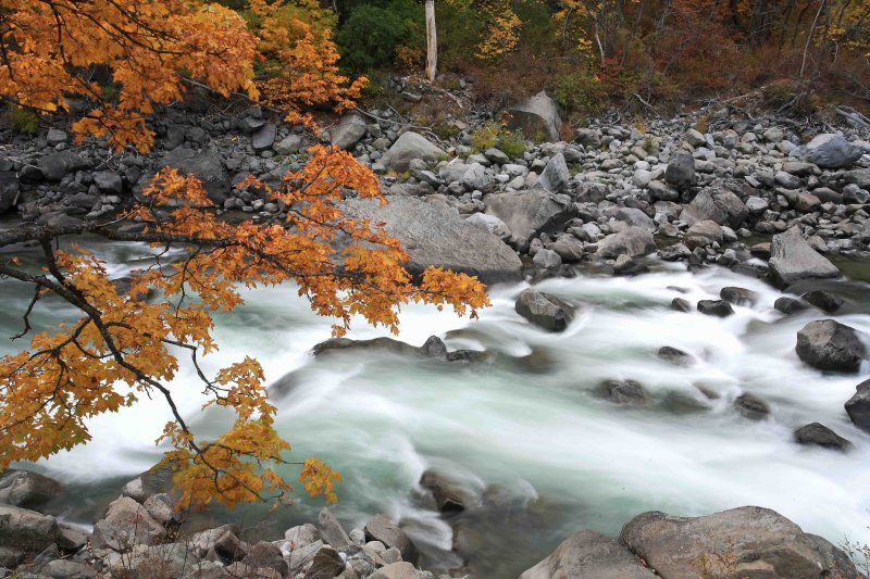 Fall Color In  Tumwater Canyon   Along Wenatchee River