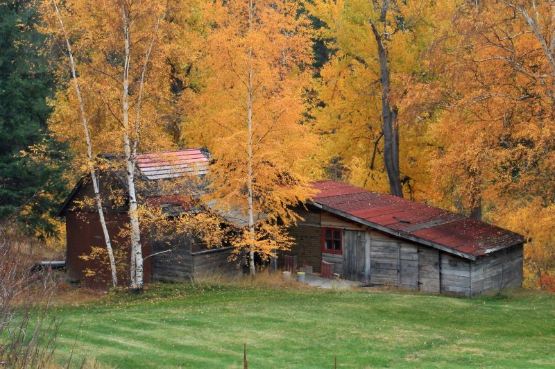 A  Hidden Treasure  Of Entiat River Valley