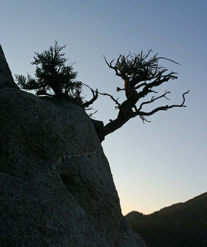 Holding On For Dear Life,,,