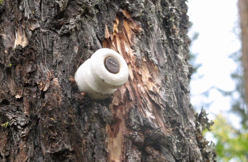 Old Telegraph Wire Insulator