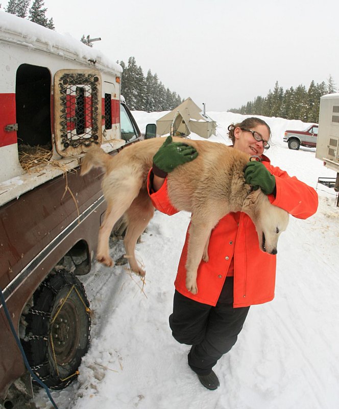  Time To Unload The Dogs