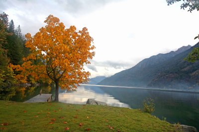 Gloomy Fall Day Near Stehekin